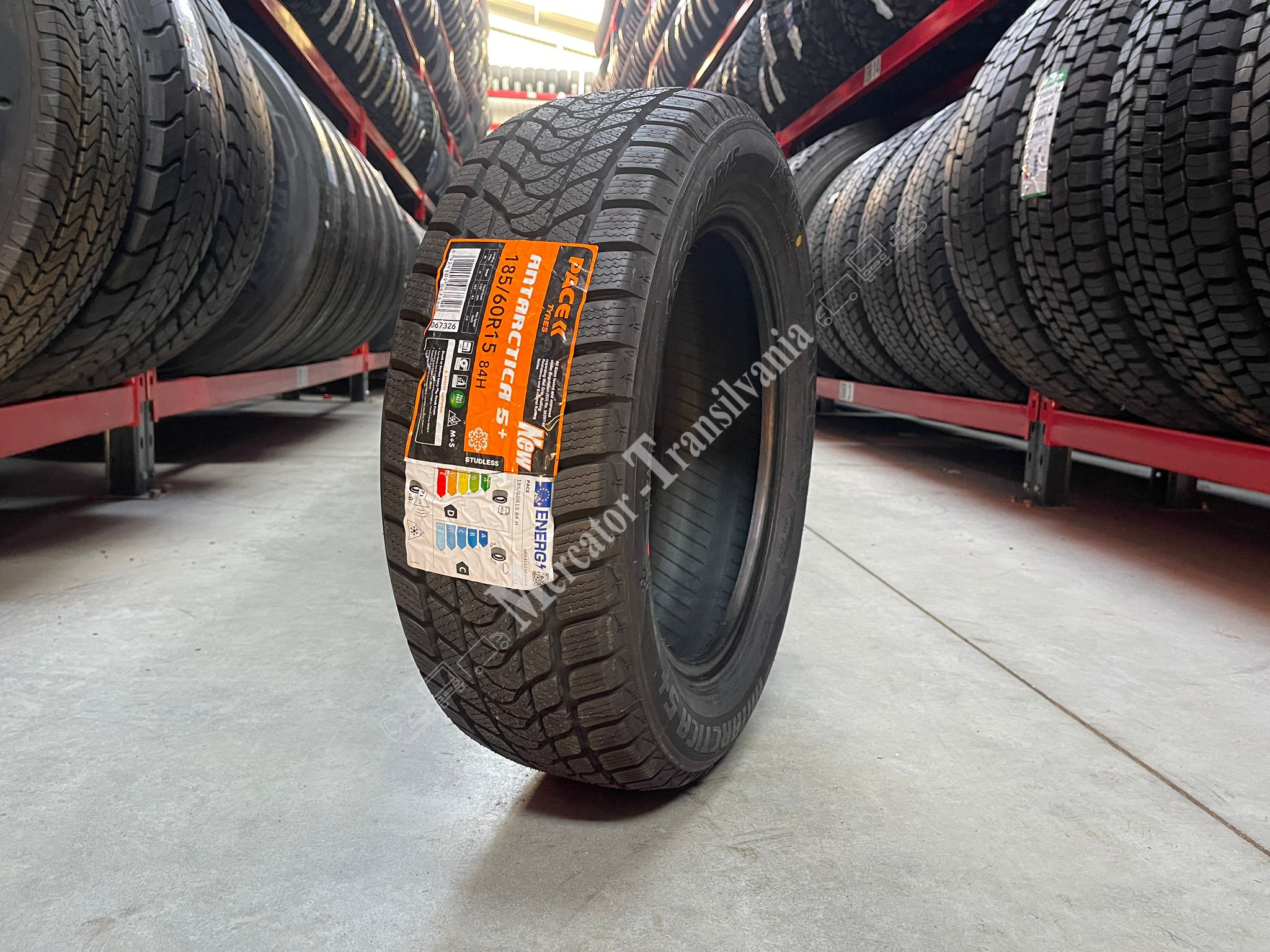 (NOUA) Pace Antarctica 5+ 185/60R15-