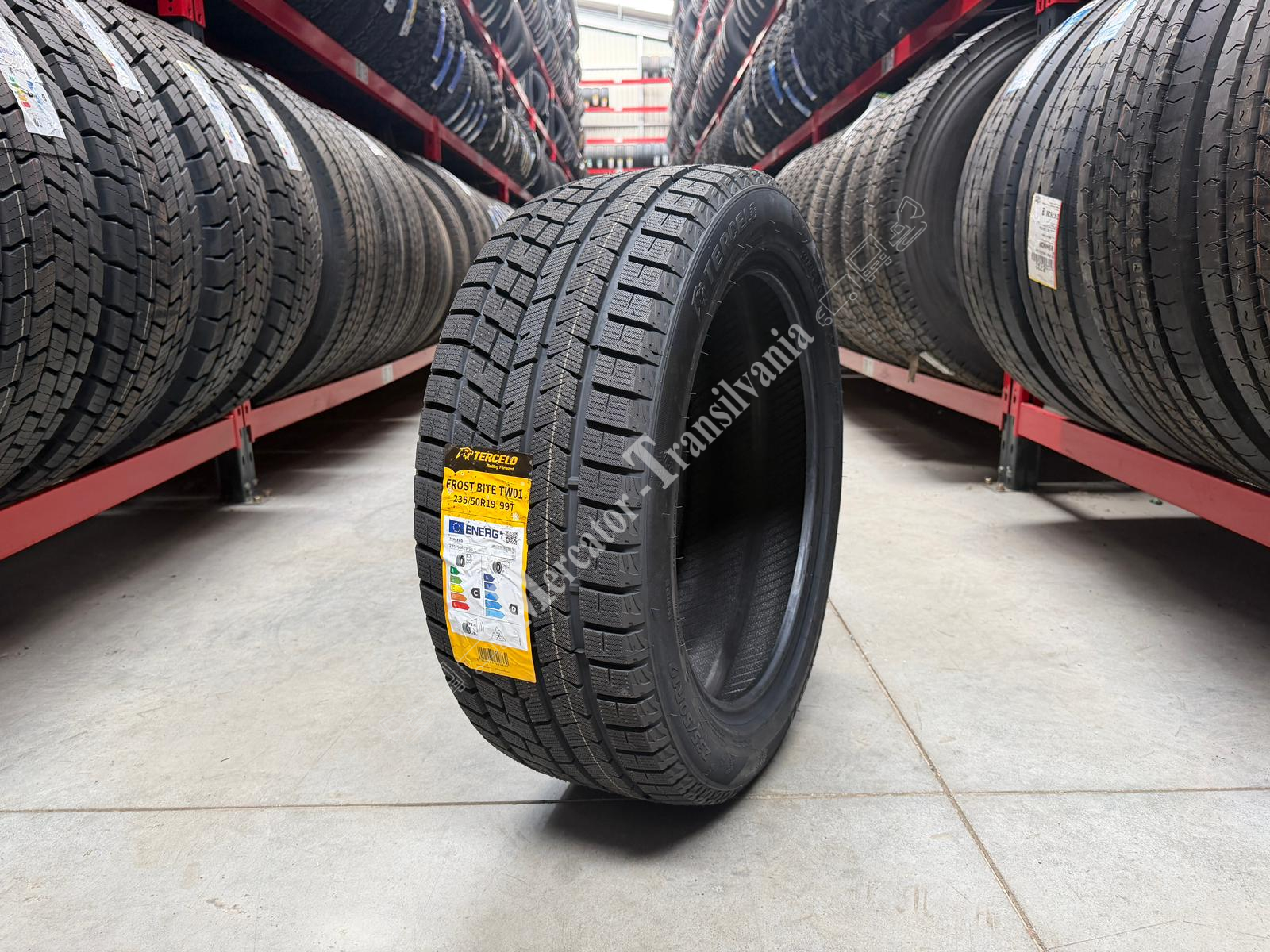 (NOUA) Tercelo Frost Bite TW01 235/50R19-